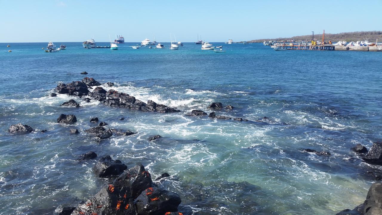 Hostal Romy Puerto Baquerizo Moreno Bagian luar foto